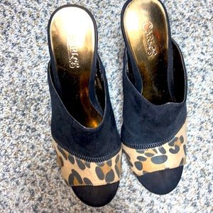 Carlos Santana which is